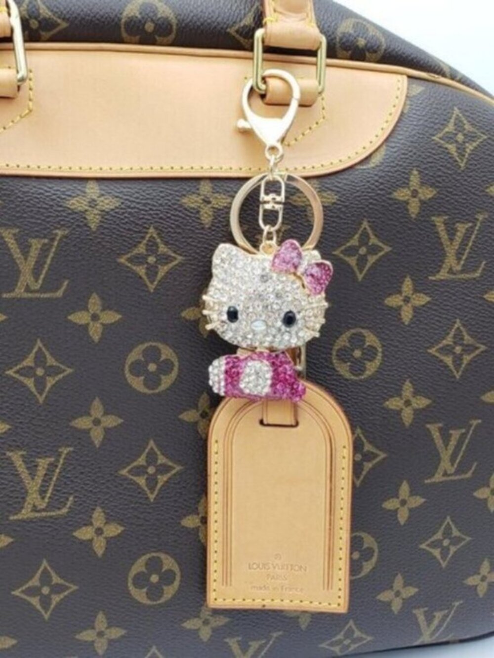Authentic Louis Vuitton Luggage Nametag with Unbranded Keycharm